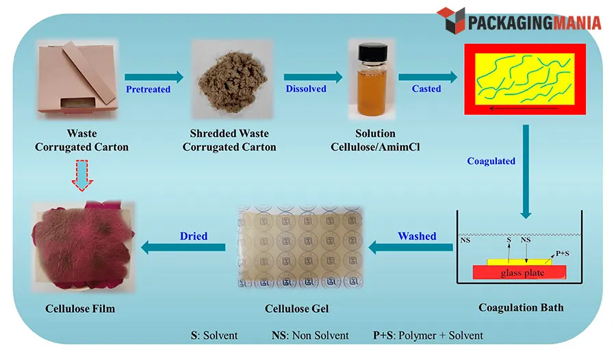 Cellulose-Based Films