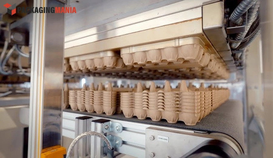 Pulp Theroforming